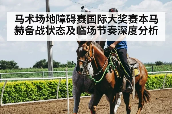 horse and rider training